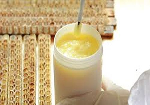 تصویر 5 از خرید و قیمت ژل رویال اصل + فروش صادراتی